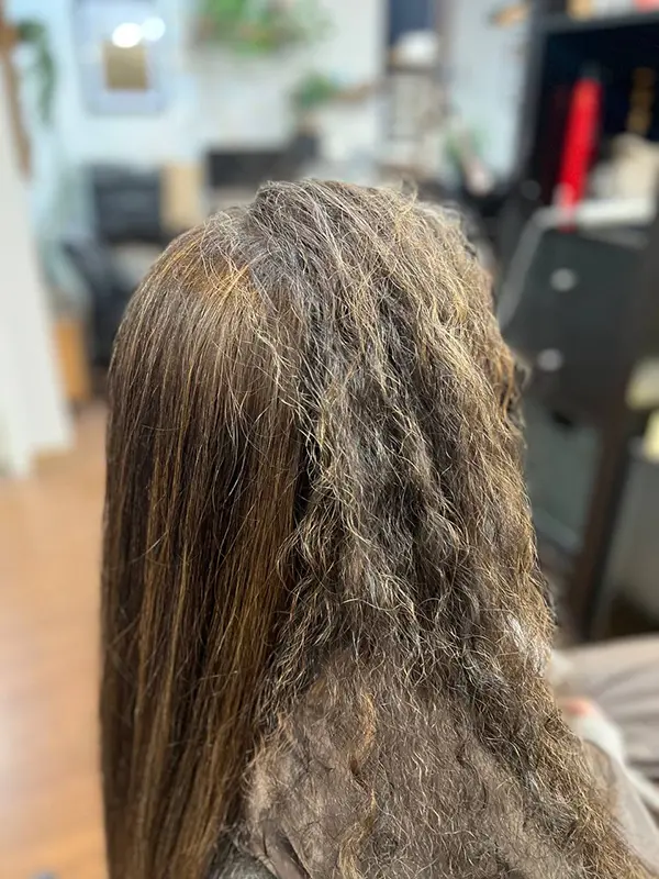 Hair treatment comparison showing smooth hair beside untreated textured hair by CocoRez in Port Coquitlam.